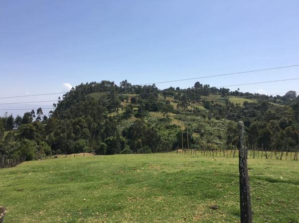 12696134_10101472673872759_527968543_n