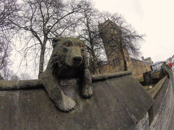 DCIM100GOPRO