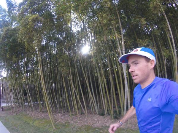 23828703_10102255978329349_1120747337_o